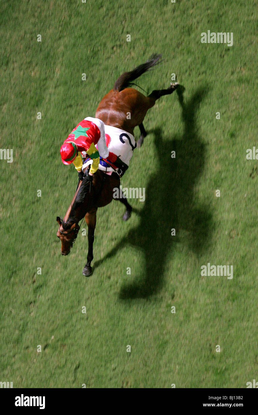 Luftbild von Pferd und Reiter im Galopp, Hong Kong, China Stockfoto