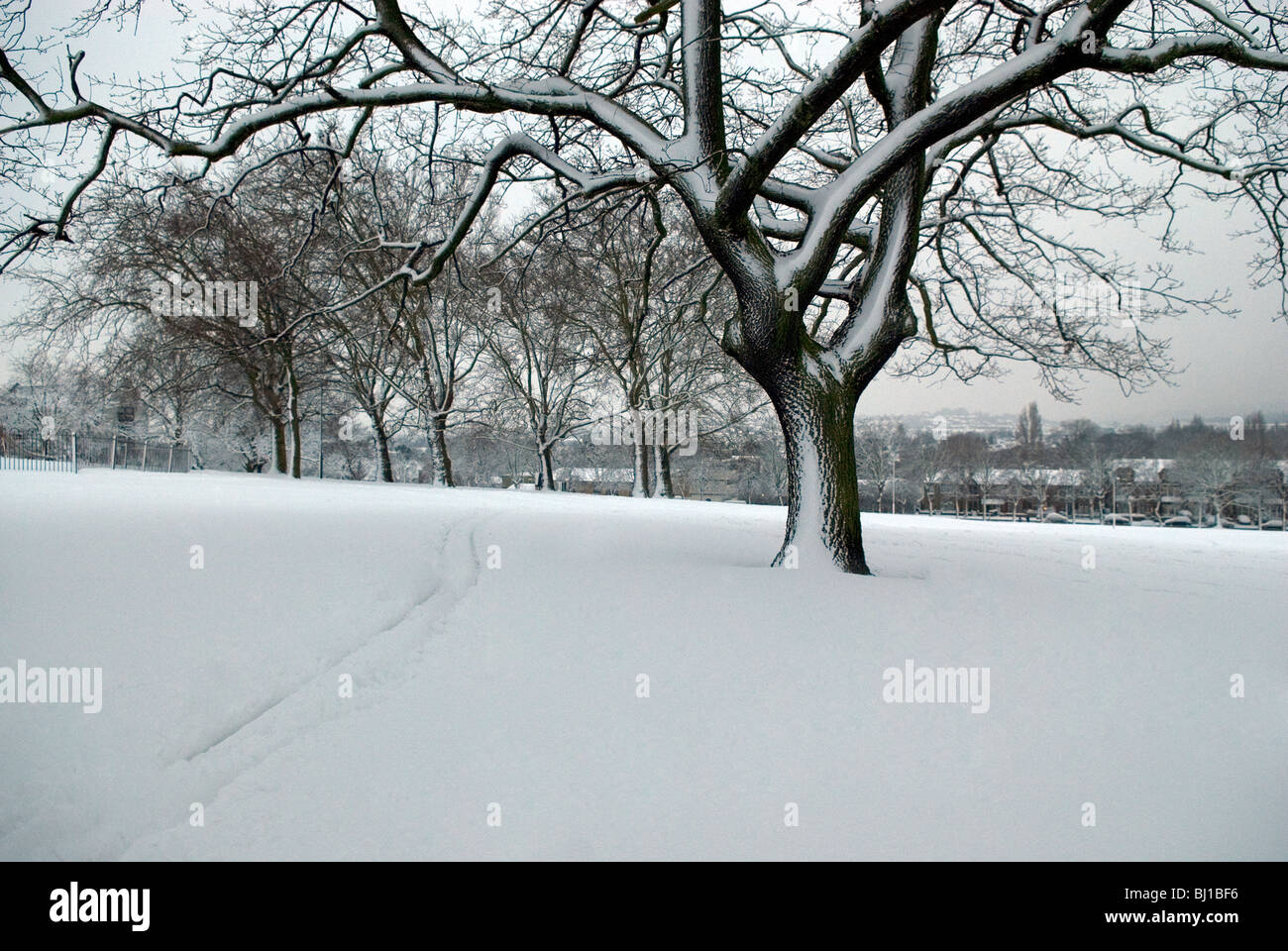 Hilly Fields Park nach Schneefällen mit großer Baum im Vordergrund. Stockfoto