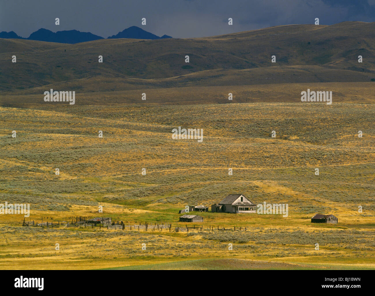 Verlassene Ranch-Haus, Korallen und Nebengebäude, Ausläufer der Crazy Mountains, Schilde Valley, Montana, USA Stockfoto