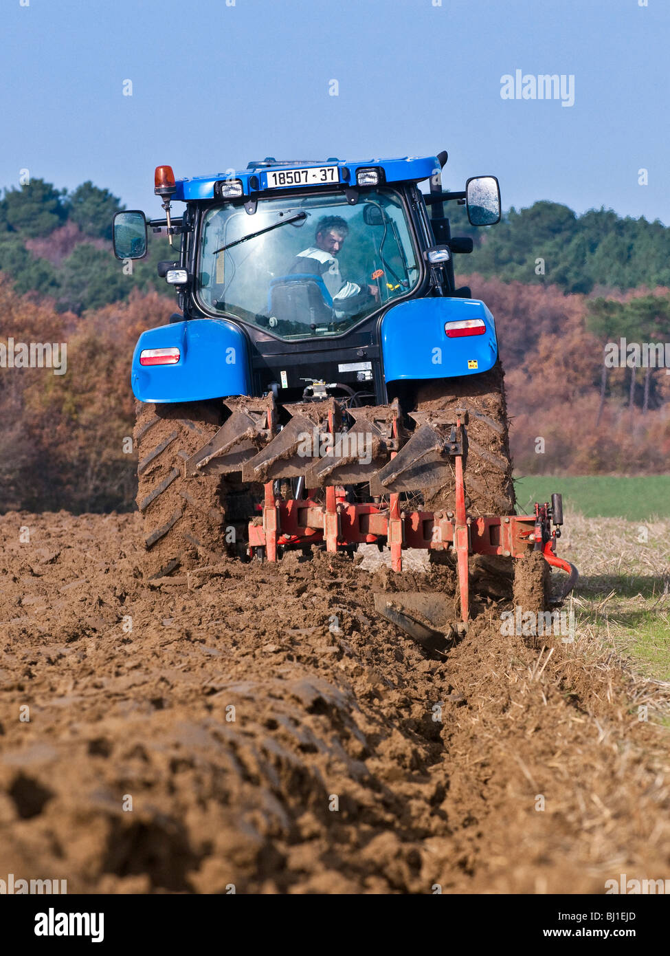 New Holland T6050 Traktor Winter Pflügen, Sud-Touraine, Frankreich. Stockfoto