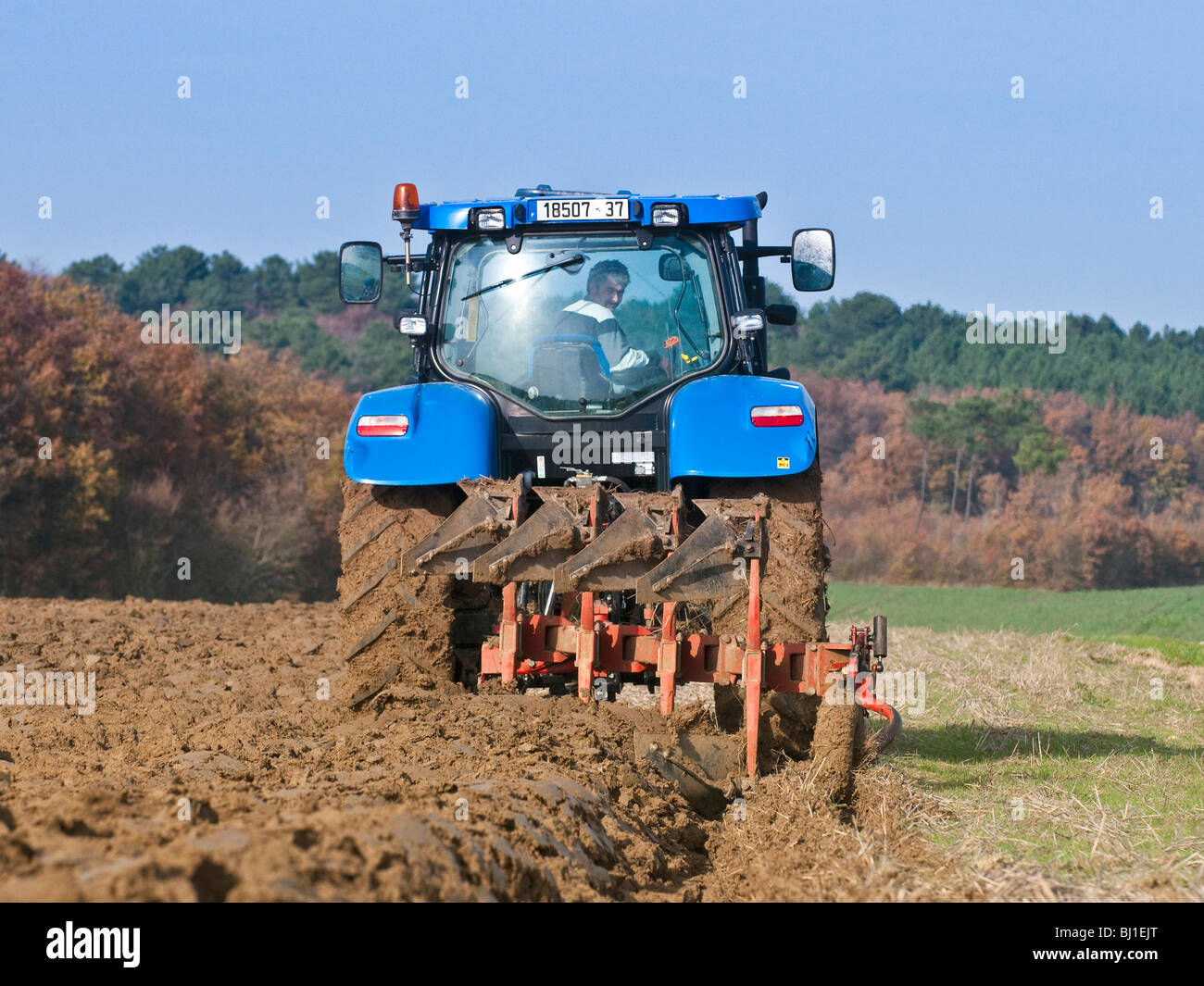 New Holland T6050 Traktor Winter Pflügen, Sud-Touraine, Frankreich. Stockfoto