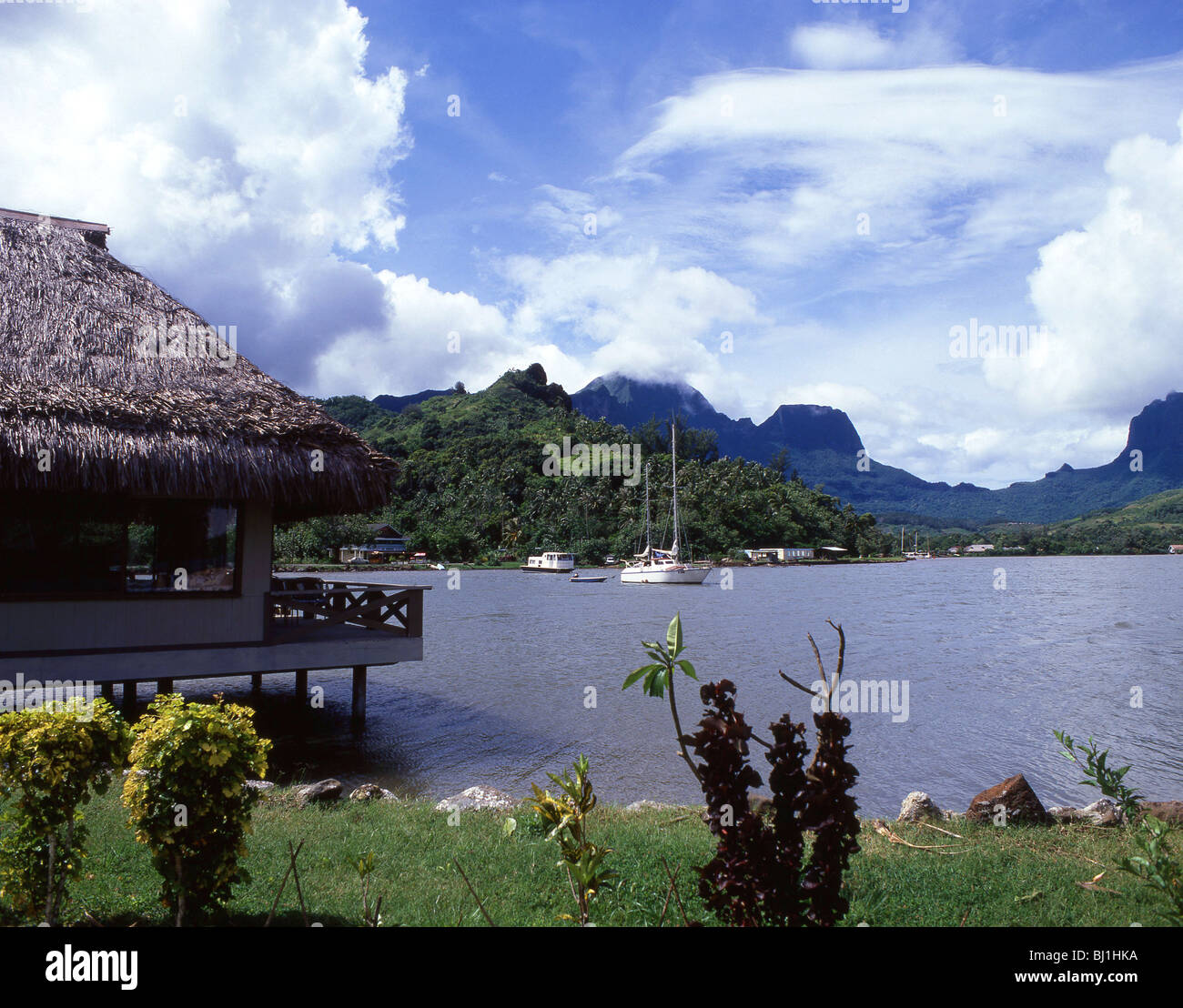 Hütte am Wasser Rand, Captain Cook Bay, Moorea, Tahiti, Französisch-Polynesien Stockfoto