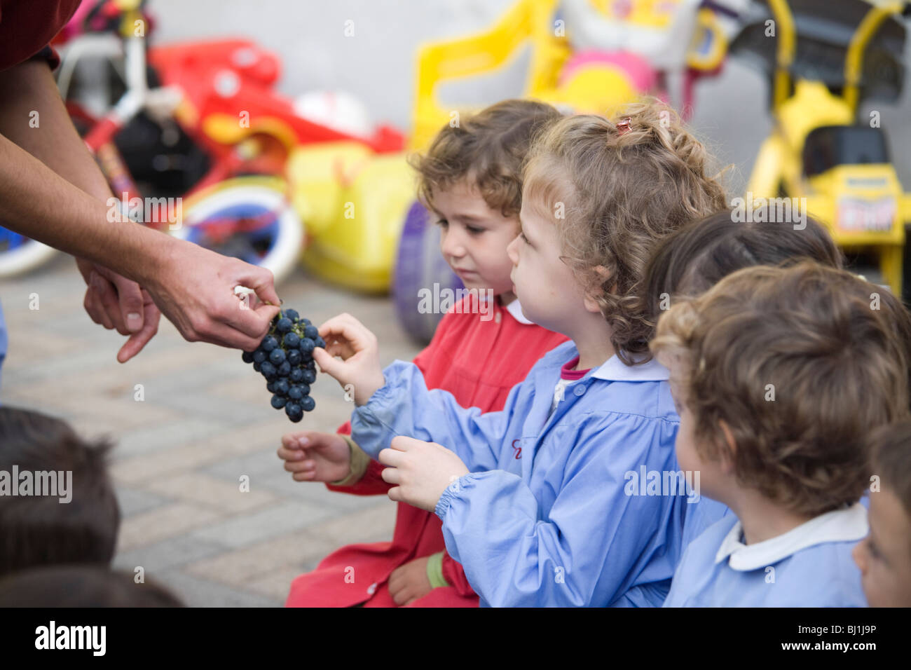 Bauer zeigt Kinder im Vorschulalter blauen schmecken Traube haben sie es Stockfoto