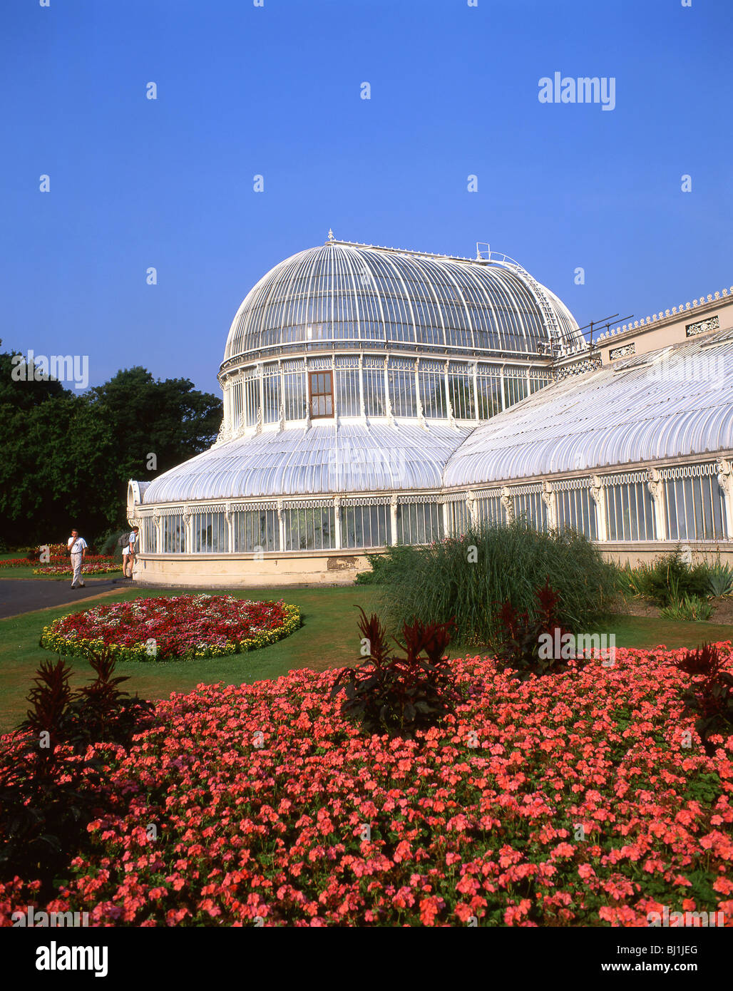 Palm House, botanische Gärten, Belfast, Grafschaft Antrim, Nordirland, Vereinigtes Königreich Stockfoto