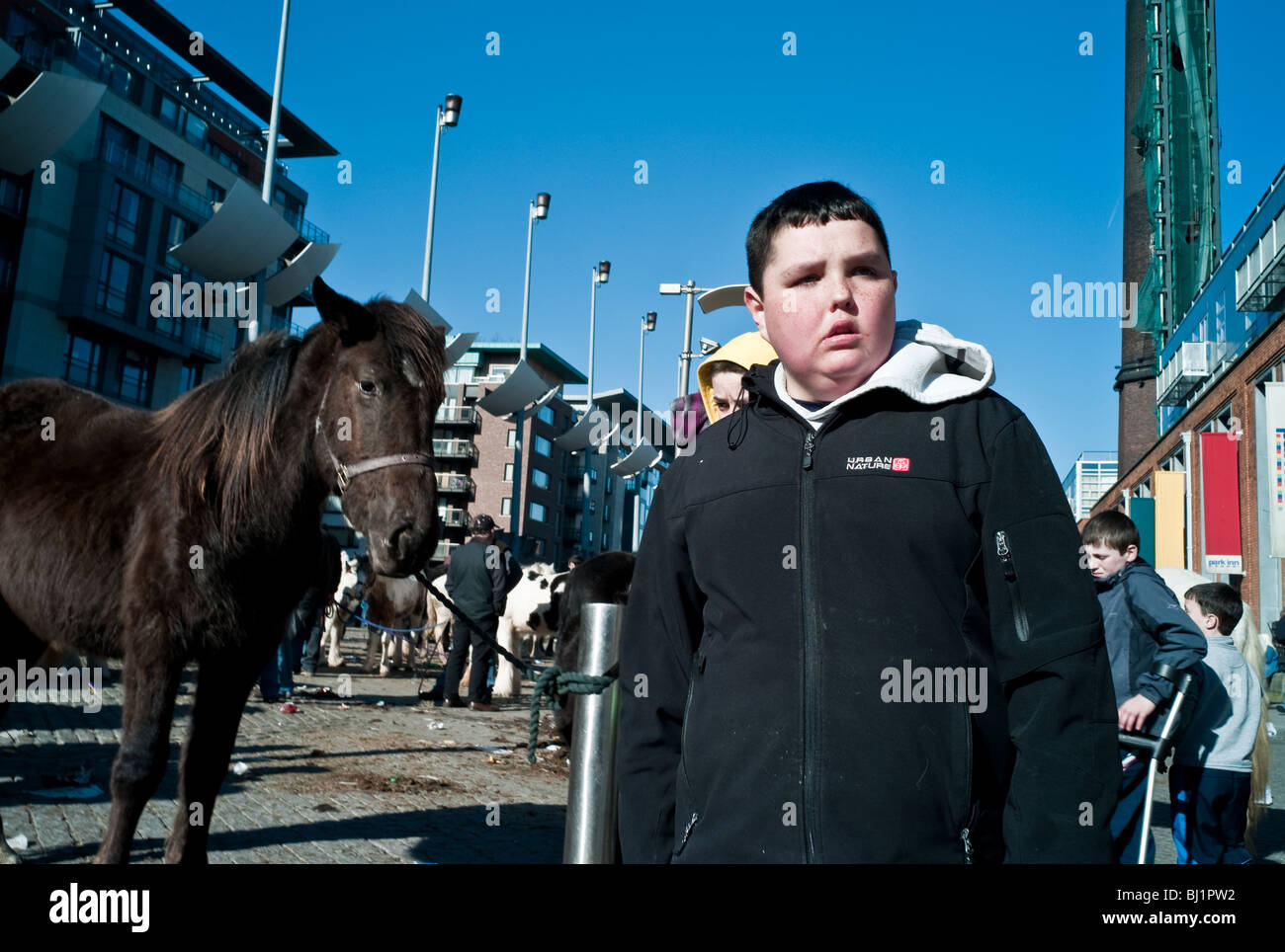 Die Pferdemesse in Stoneybetter Dublin 7 Irland Stockfoto