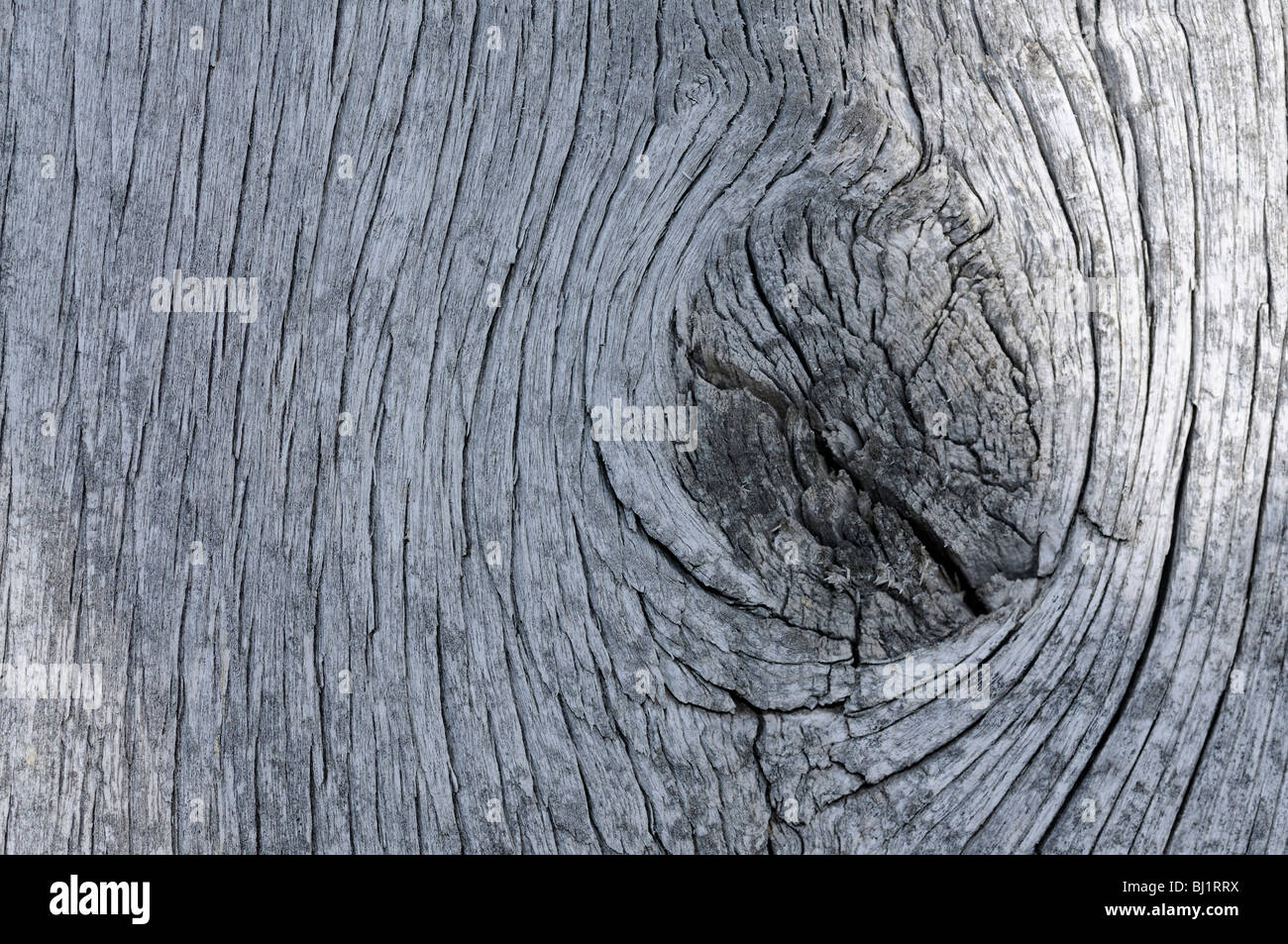 Nahaufnahme der verwitterte Holzbretter auf einer alten Scheune Stockfoto