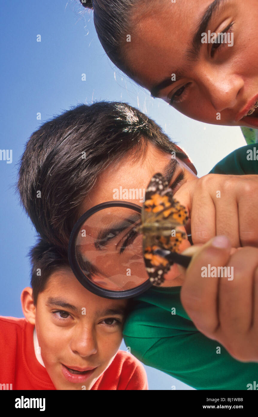 Hispanische junge (Mitte) schaut auf Schmetterling mit Lupe, während Bruder und Schwester sehen Sie Wissenschaft Blick Blick finden Sie unter Stockfoto