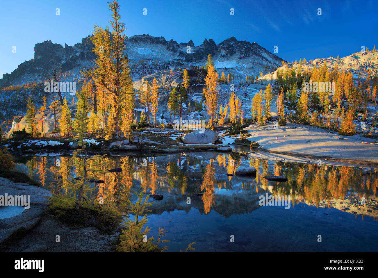 Lärchen in der Verzauberung Seen Wildnis im Staat Washington, USA Stockfoto