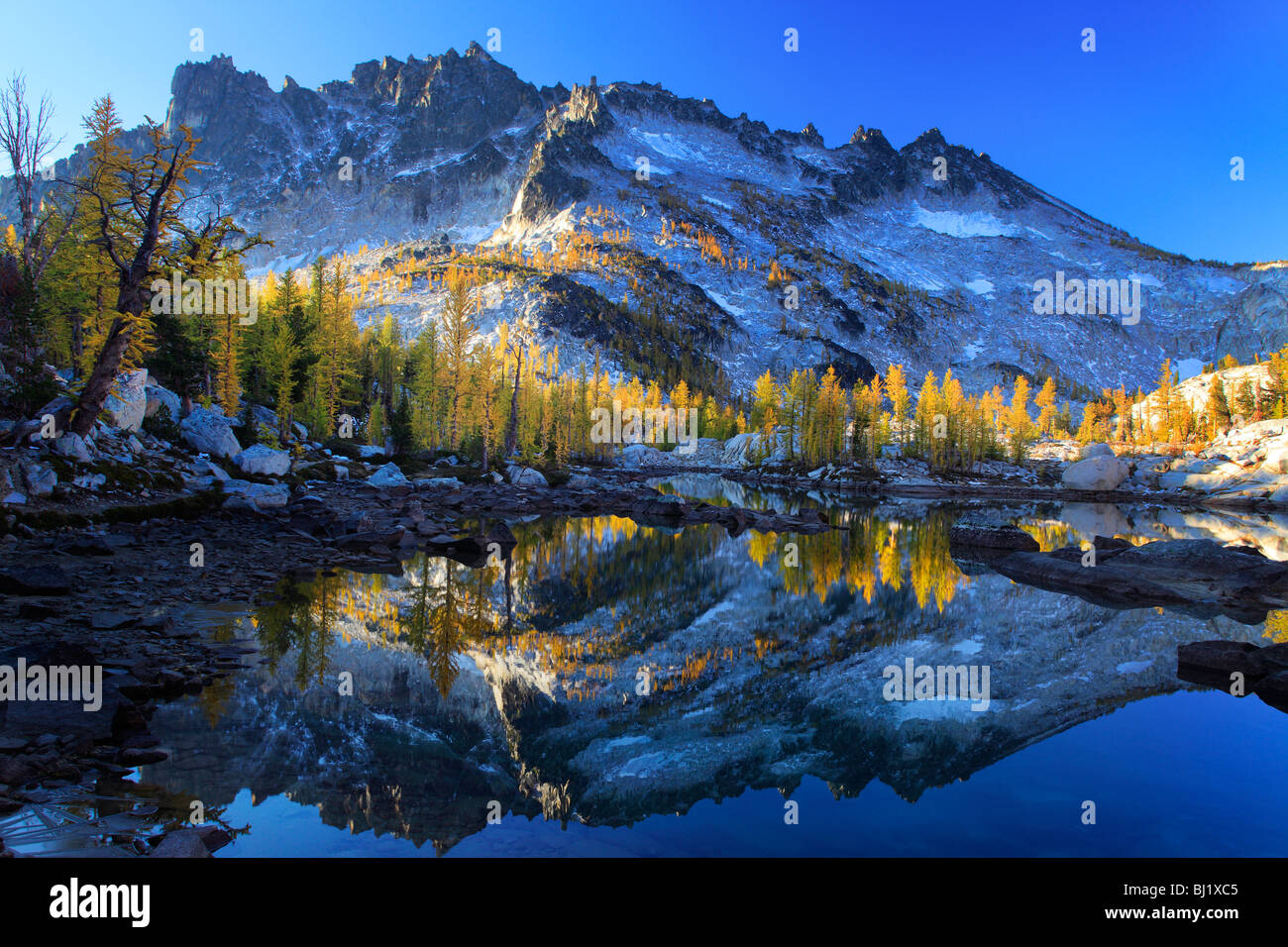 Lärchen am Kobold-See in der Wildnis Verzauberung Seen im Staat Washington, USA Stockfoto
