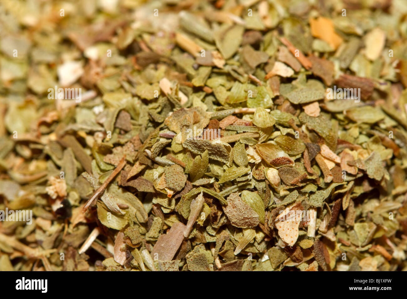 Nahaufnahme von getrockneter oregano Stockfoto