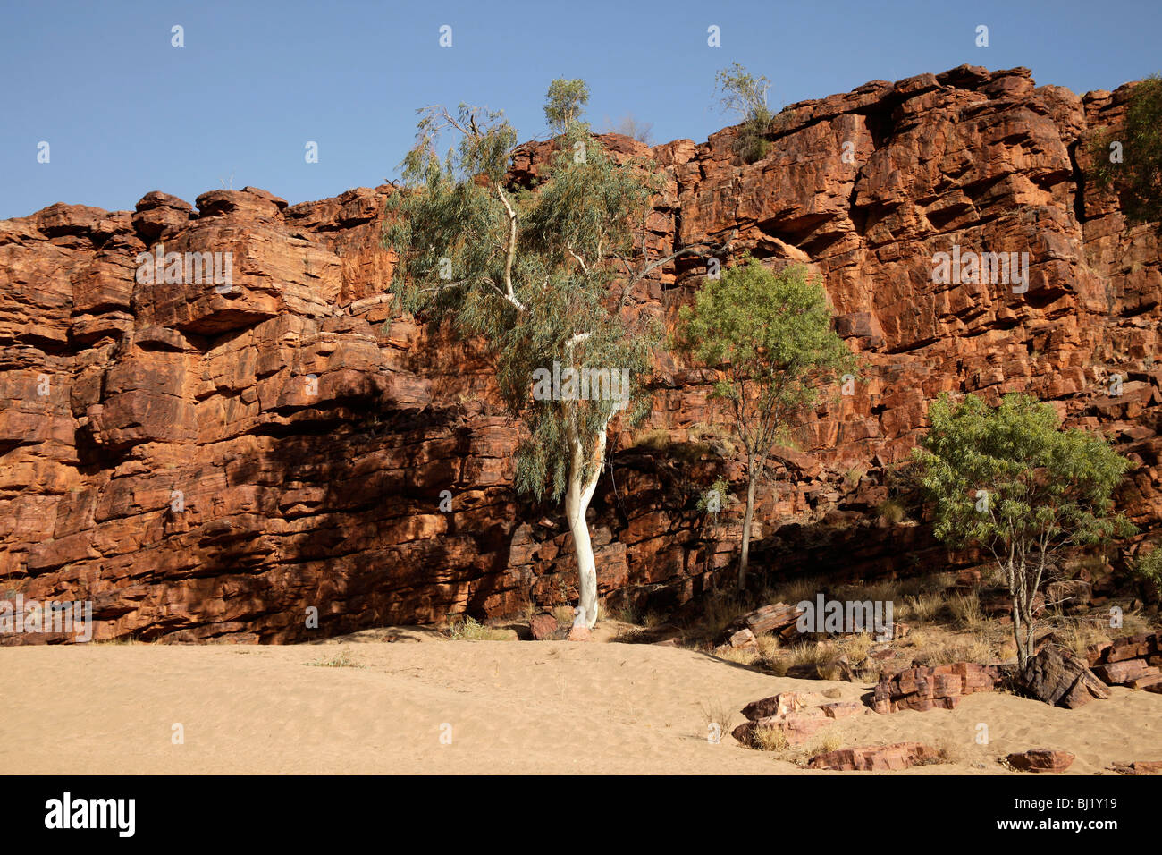 Trephina Gorge Naturpark in die East MacDonnell Ranges, Northern Territory, Australien Stockfoto