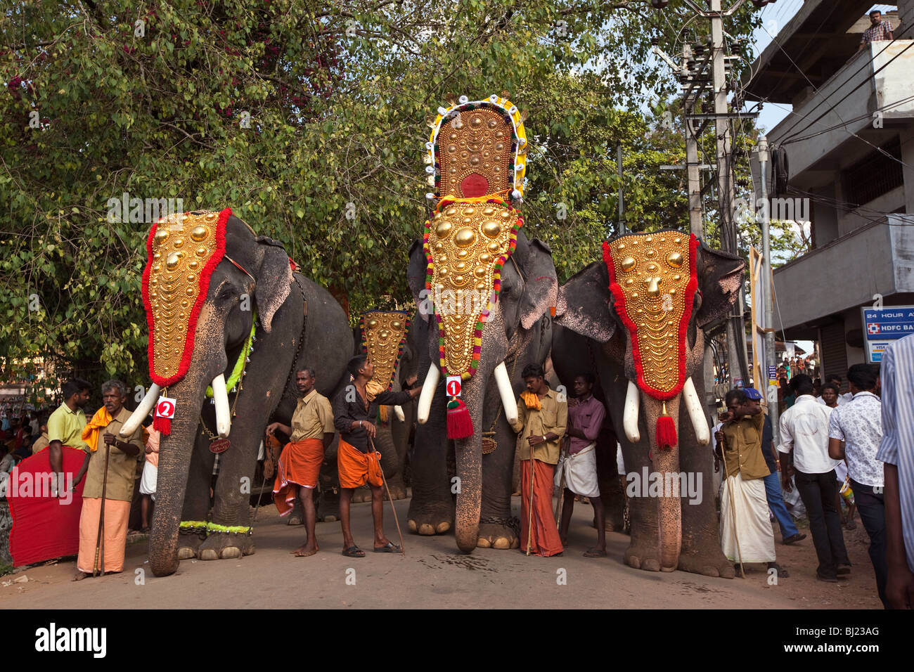 Indien, Kerala, Adoor, Sree ParthasarathyTempel, Gajamela