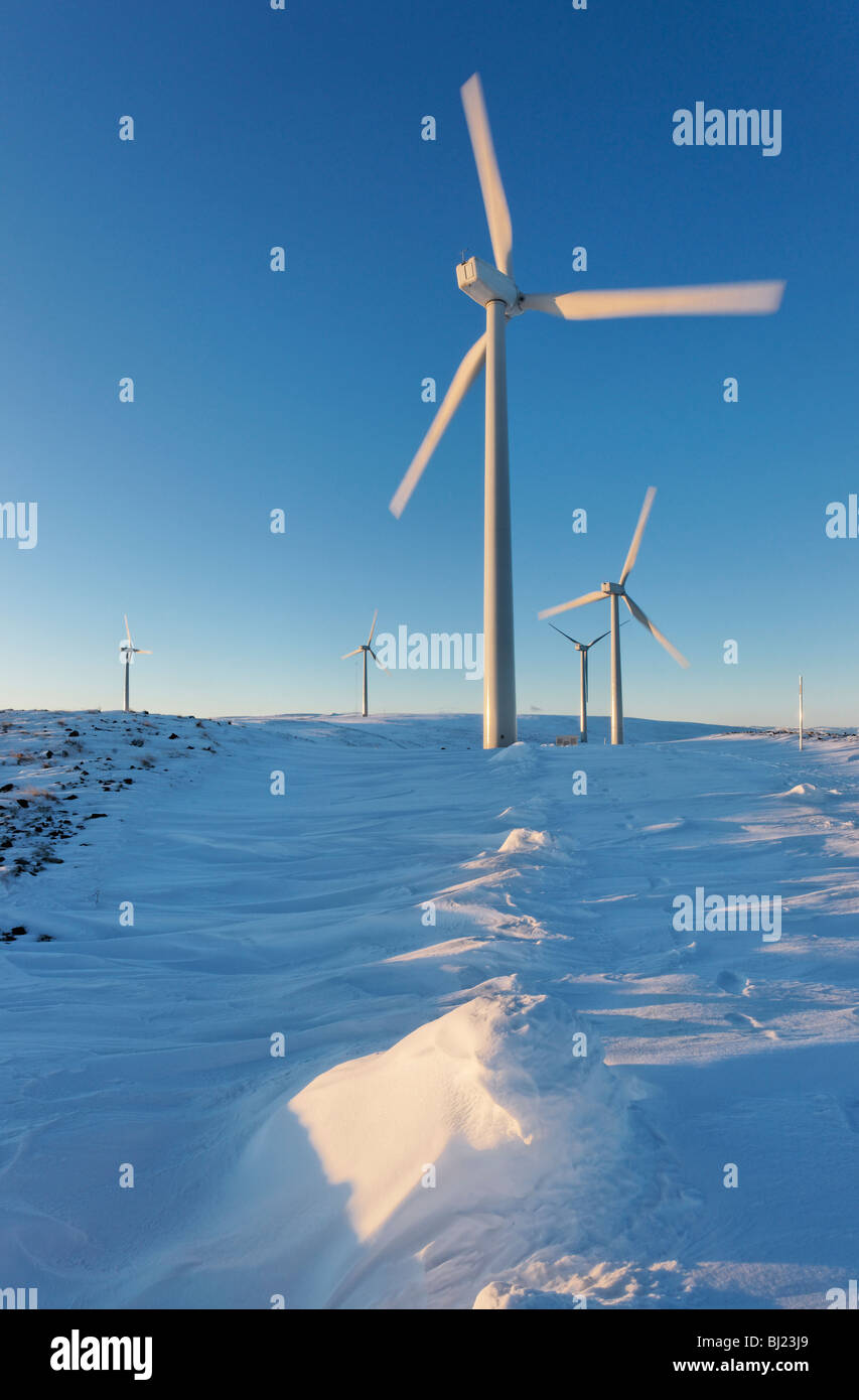 Grün kan Windfarm in die Ochil Hills, Perth und Kinross, Schottland, Großbritannien. Stockfoto