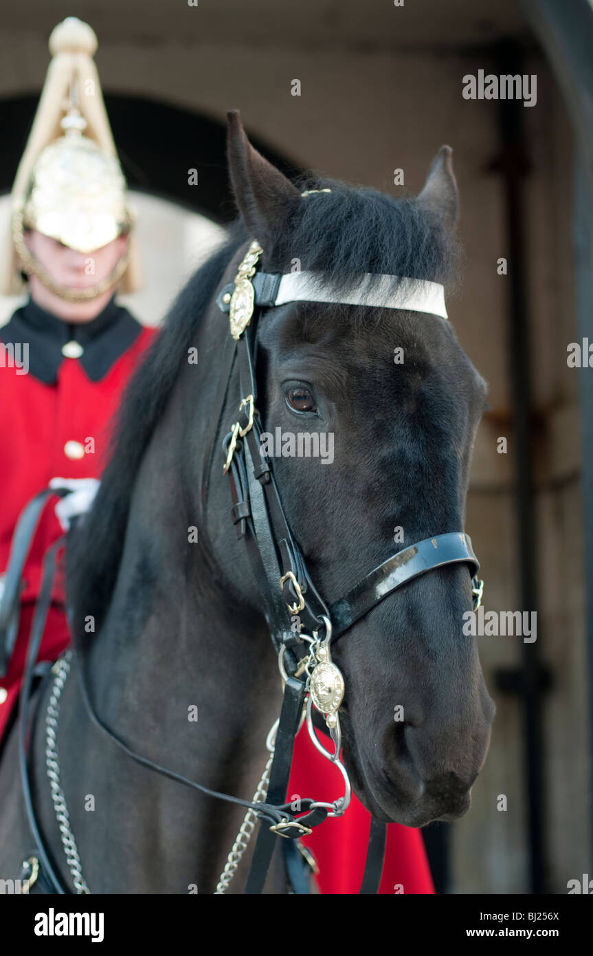 Königinnenwache Leben auf Horse Guards Stockfoto