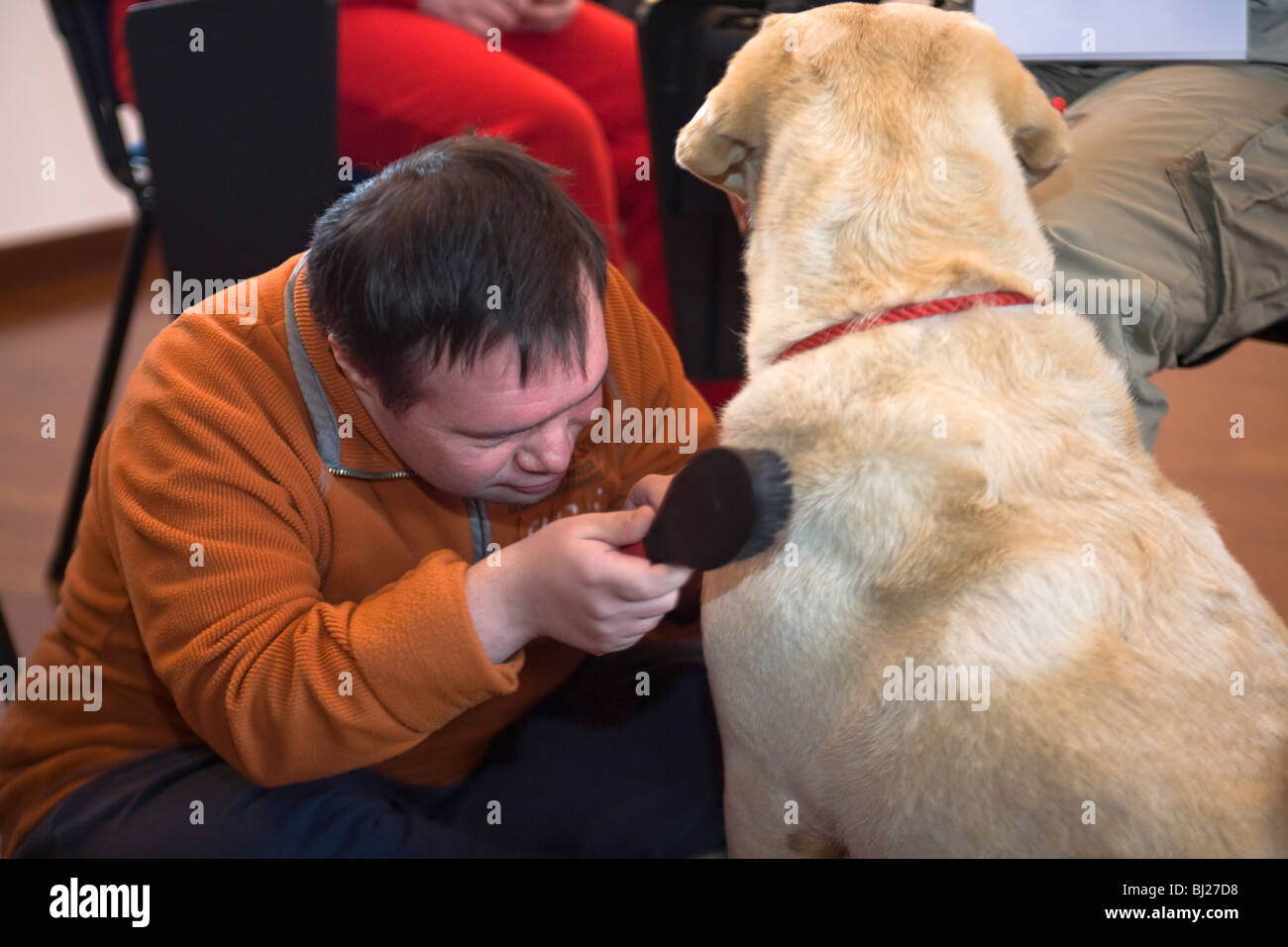 Junger Mann mit Down-Syndrom zu Bürsten golden Labrador Hund für eine  Tier-Therapie-Sitzung Stockfotografie - Alamy