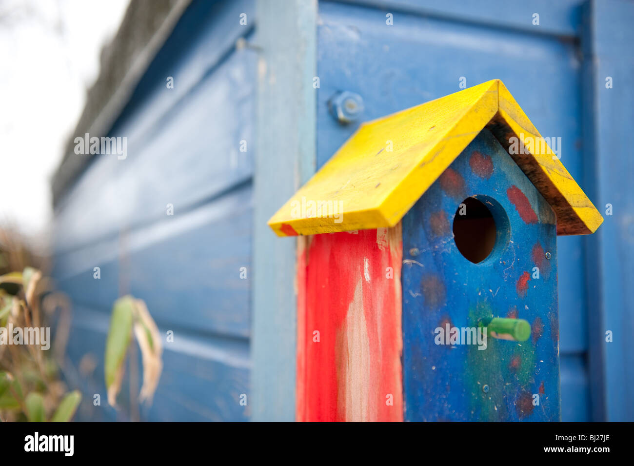 Bunte Vogelhäuschen auf blauen Gartenhaus Stockfoto