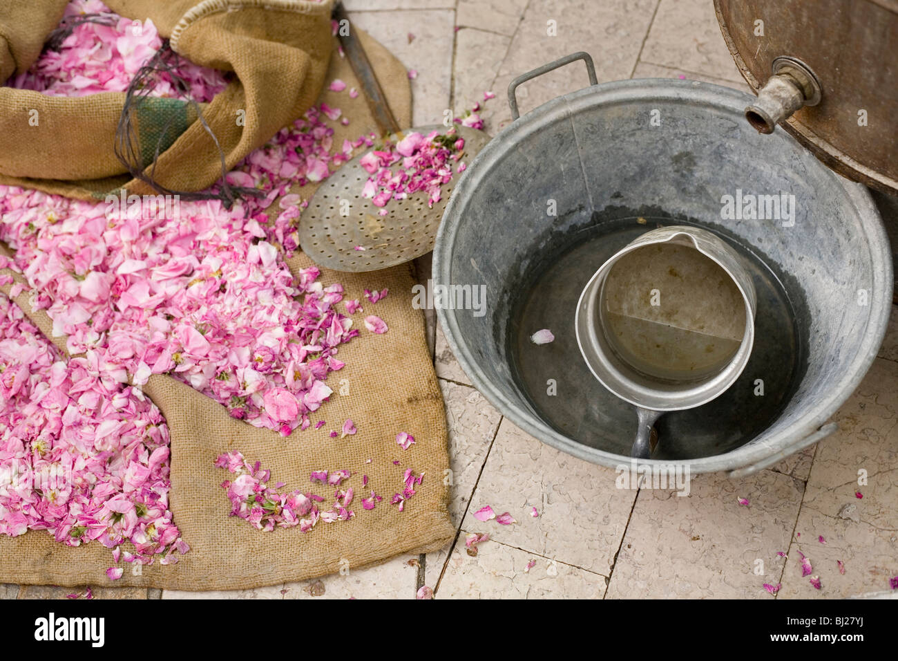 Rosenblüten und traditionelle Ausrüstung zum Destillieren Rosenwasser,  Frankreich, Mai 2009 Stockfotografie - Alamy