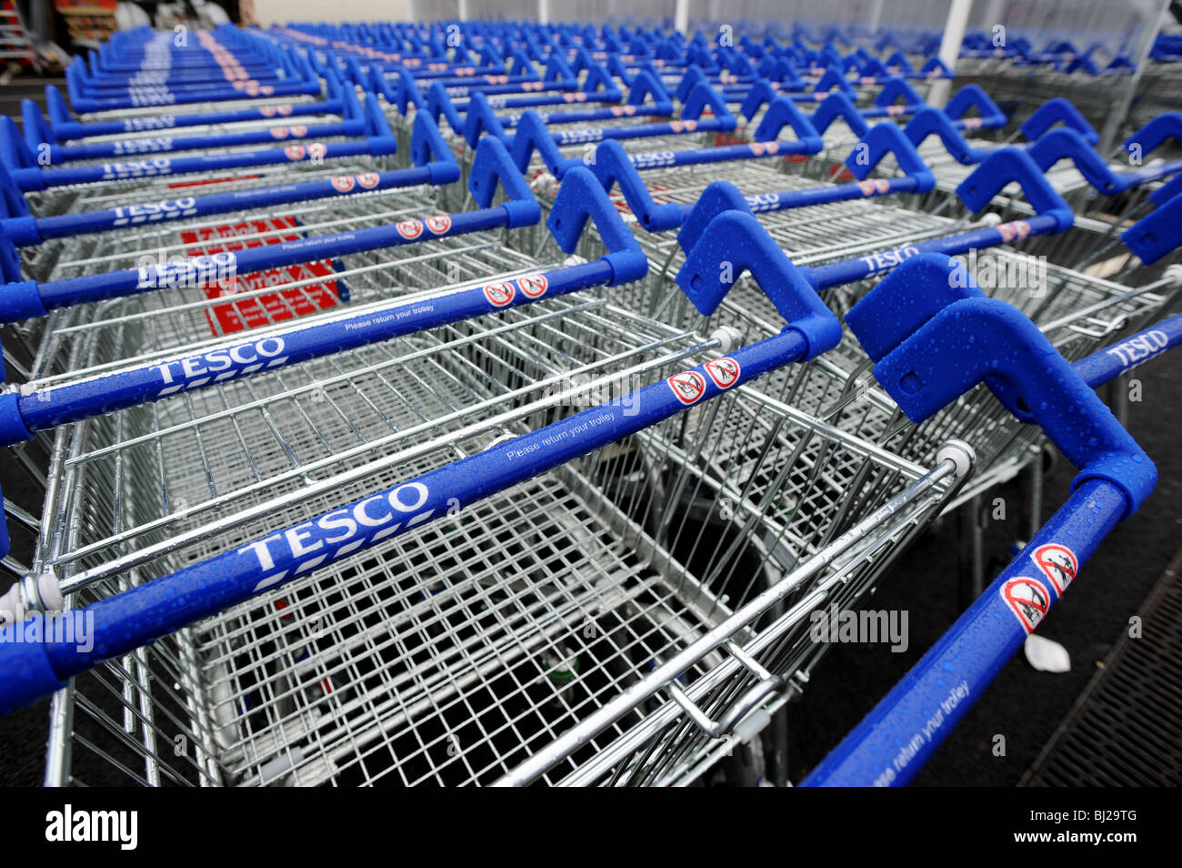 Reihe von Tesco Trollies aufgereiht vor dem Supermarkt Stockfoto