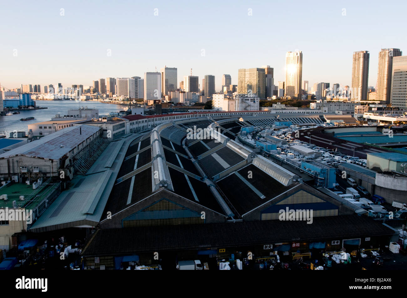 Tsukiji Fischmarkt Stockfoto