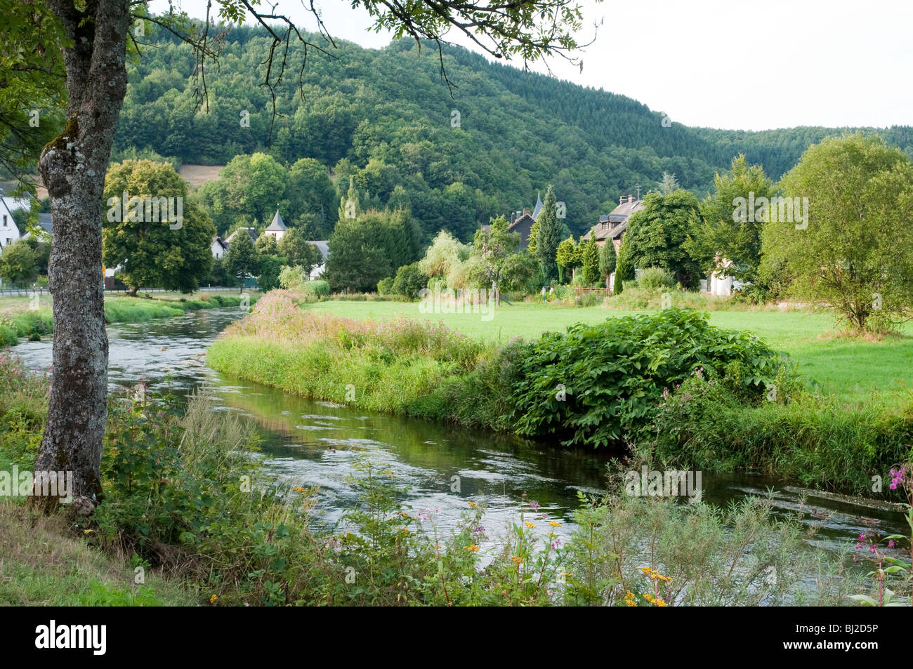 Kyll, Muerlenbach, Kylltal, Eifel, Rheinland-Pfalz, Deutschland | Fluss
