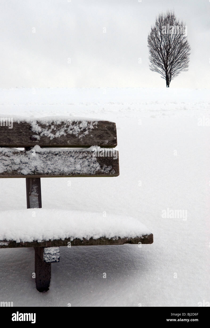 Holzbank im Park, Süd-Ost-London, nach Schneefällen. Einzigen Baum auf der Rückseite. Stockfoto