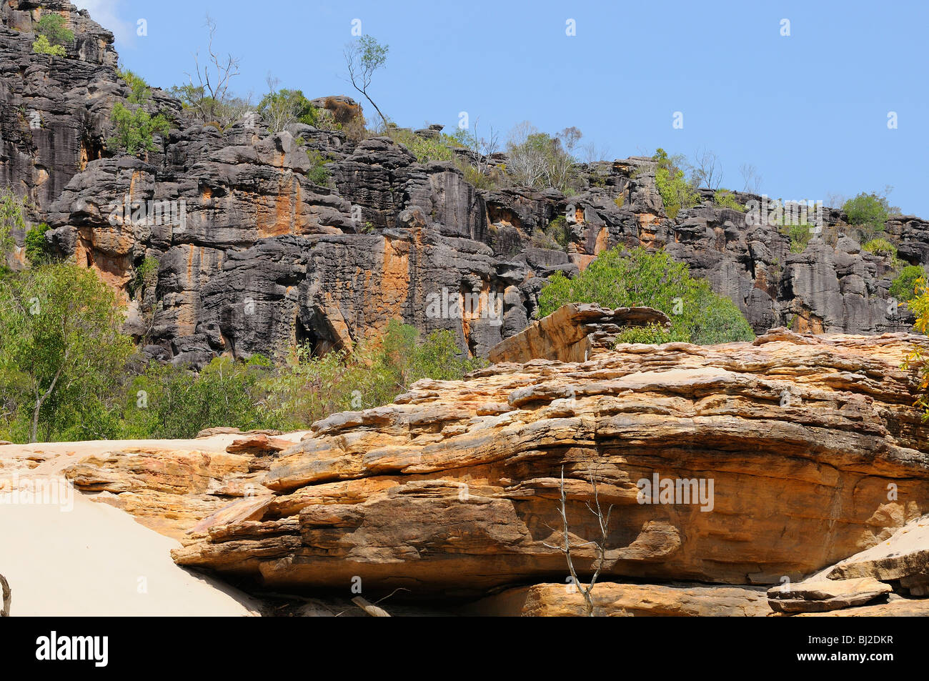 Böschung, Arnhemland Northern Territory Australien Stockfoto