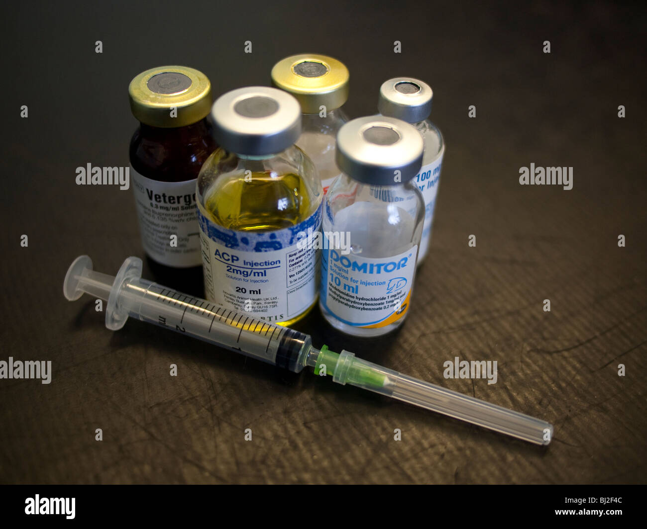 Veterinär-Medizin-Flaschen und eine leere Spritze Stockfoto