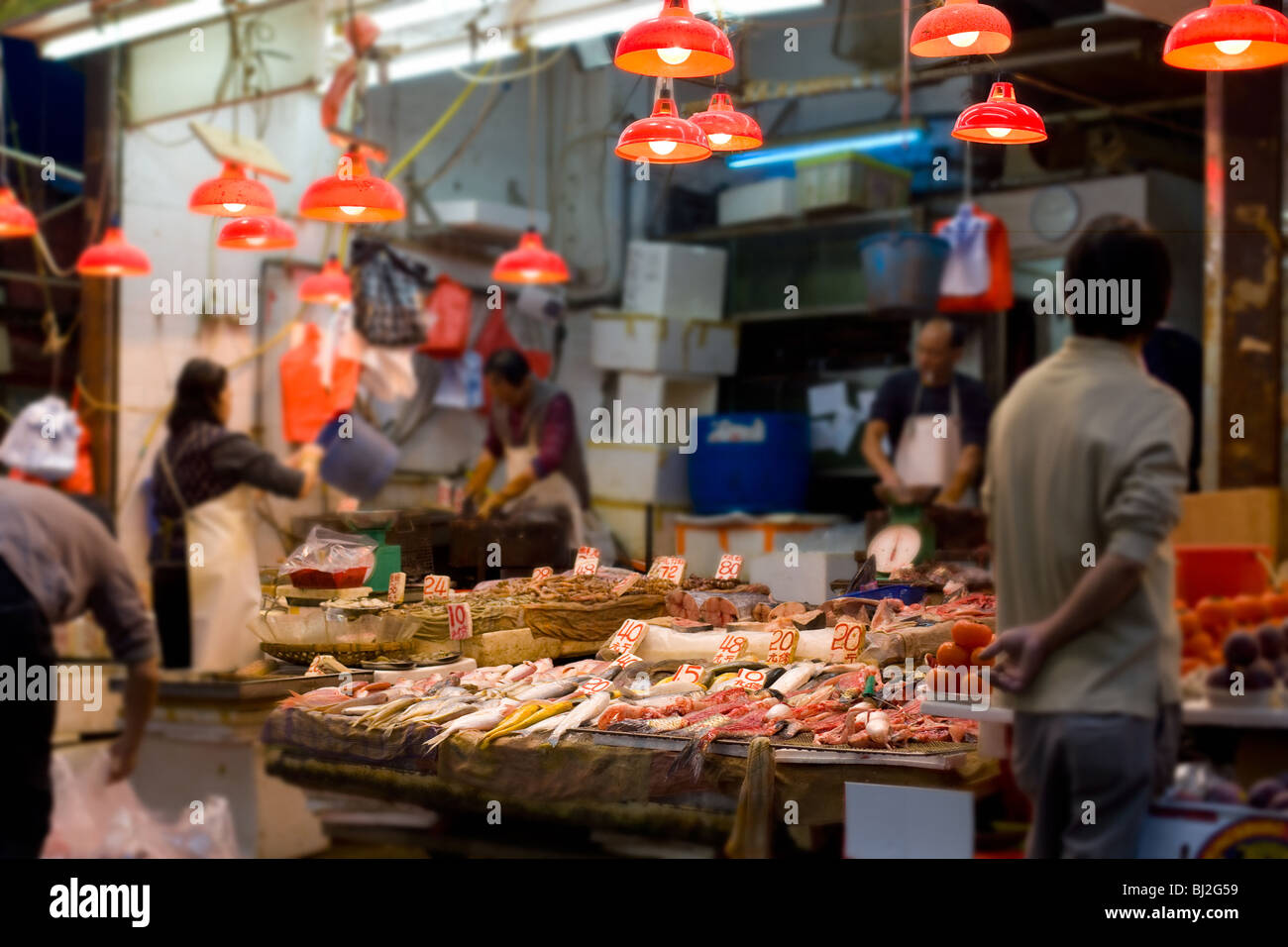 Fischmarkt in Wan Chai, Hong Kong Island, Hongkong, China, Asien Stockfoto