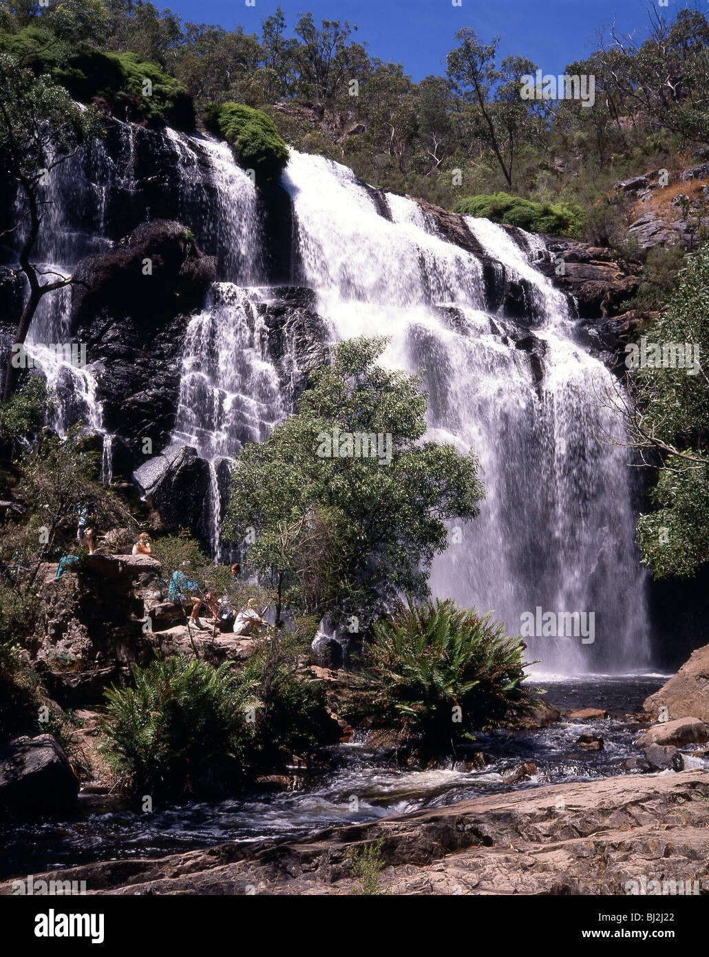 MacKenzie Falls, den Grampians National Park, Victoria, Australien Stockfoto