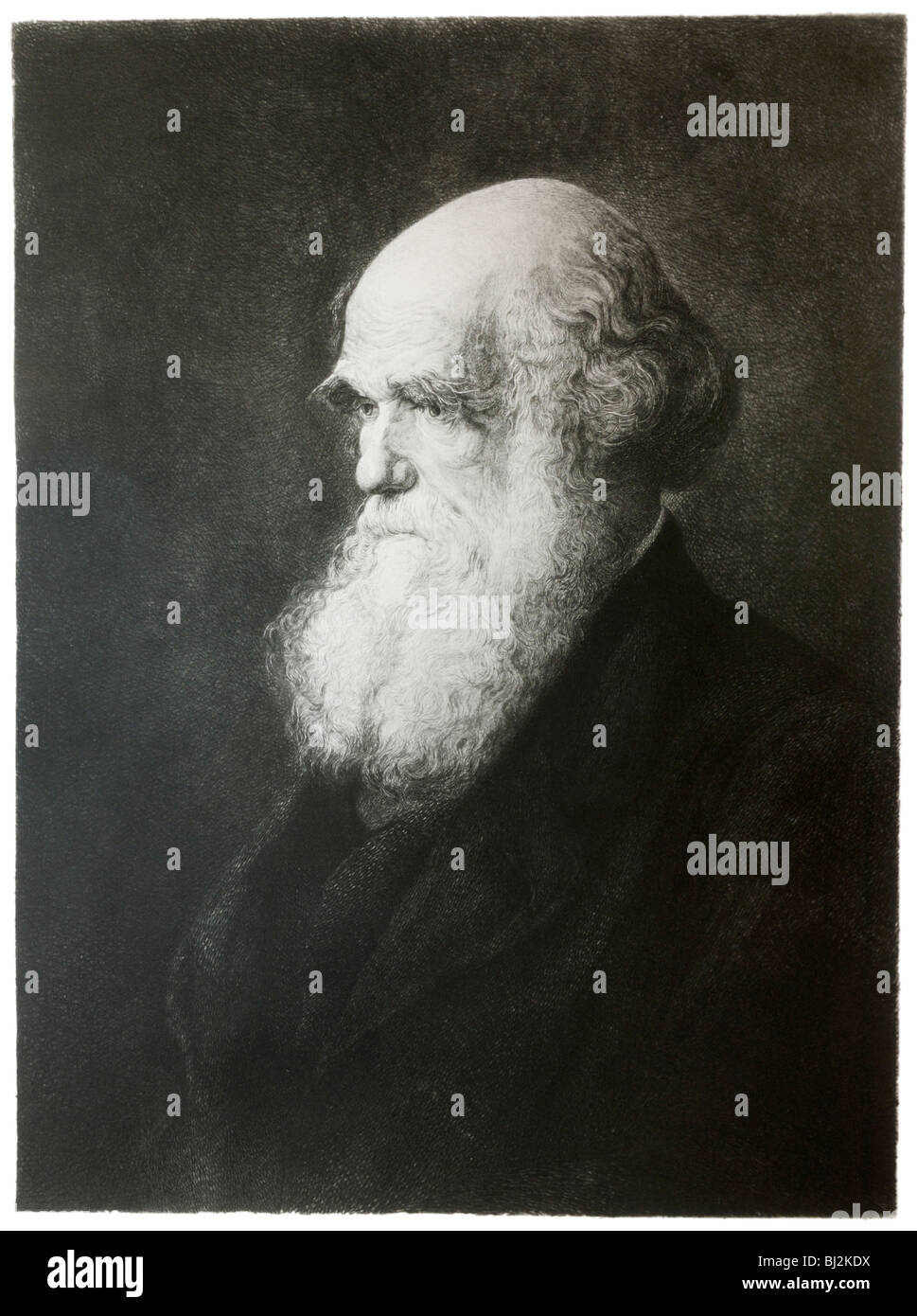 Charles Darwin, Porträt, in seinen späteren Jahren Stockfoto