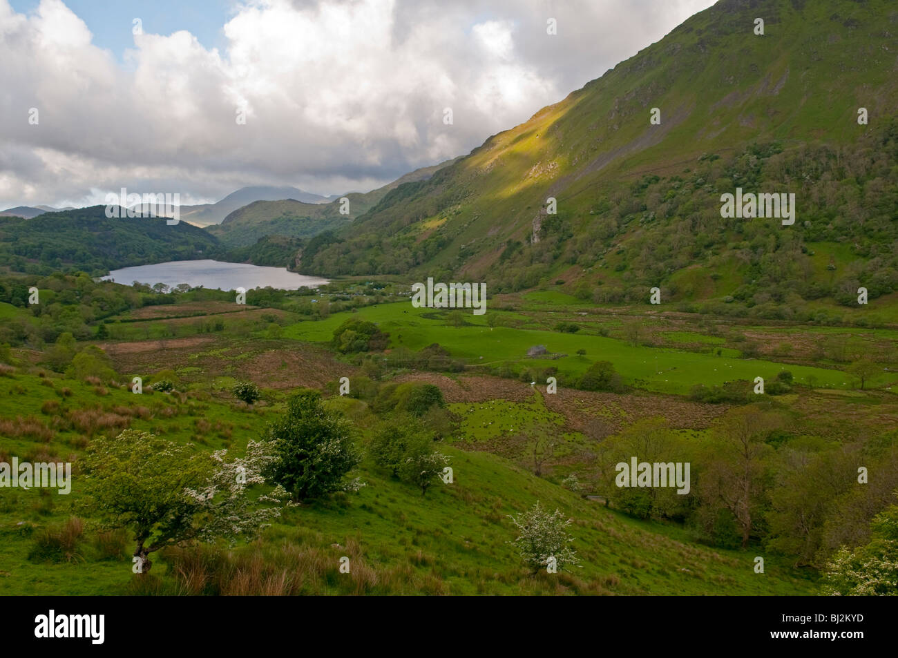 Llyn Gwynant, Snowdonia, Nordwales Stockfoto