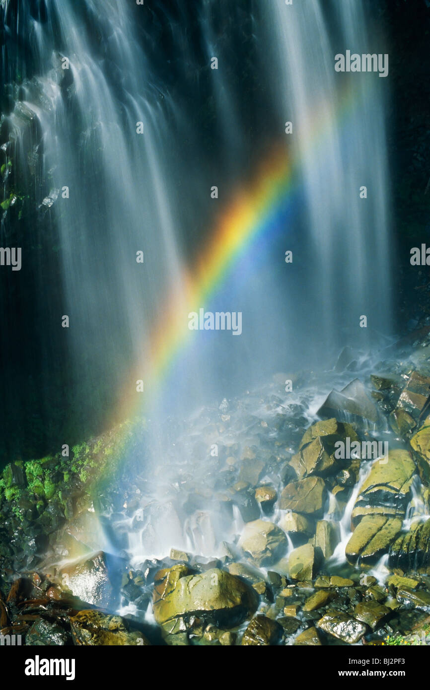 Regenbogen gebildet aus der Spraydose von Narada Falls in Mt Rainier-Nationalpark, Washington State, USA Stockfoto