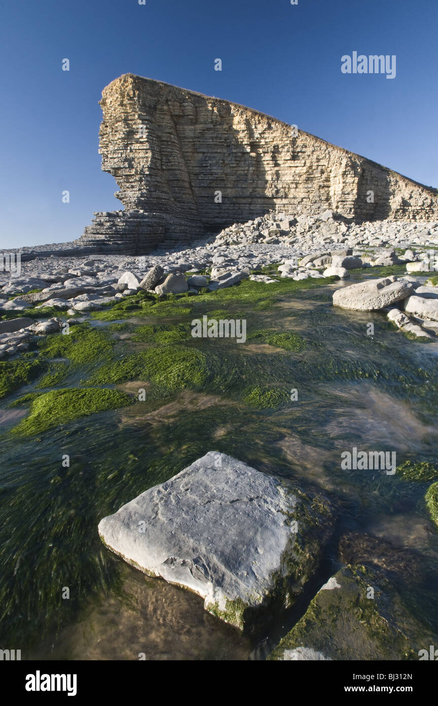 Glamorgan Heritage Coast an Nash Punkt an einem sonnigen Tag zeigt die Kalksteinfelsen Stockfoto