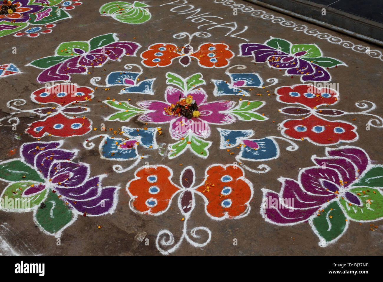 Rangoli Festival Entwürfe in einer indischen Straße auf dem hinduistischen Festival Sankranthi oder Pongal gemacht. Stockfoto