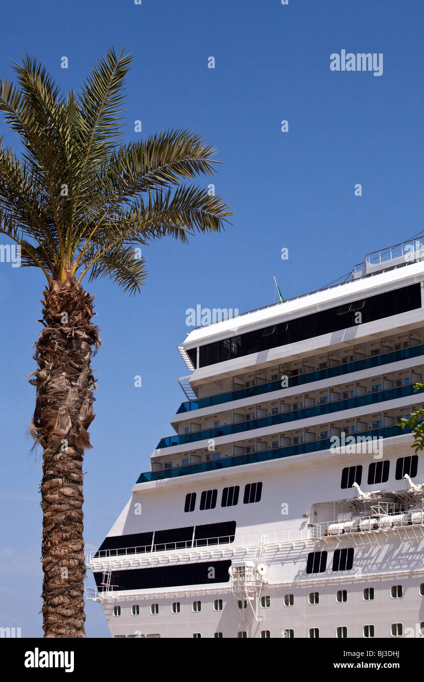 Eine Kreuzfahrt Schiff und Palme im Hafen von Valletta, der Hauptstadt