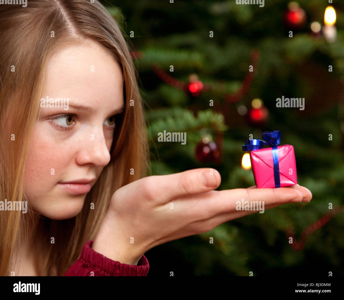Mädchen mit kleinen Weihnachtsgeschenk Stockfoto