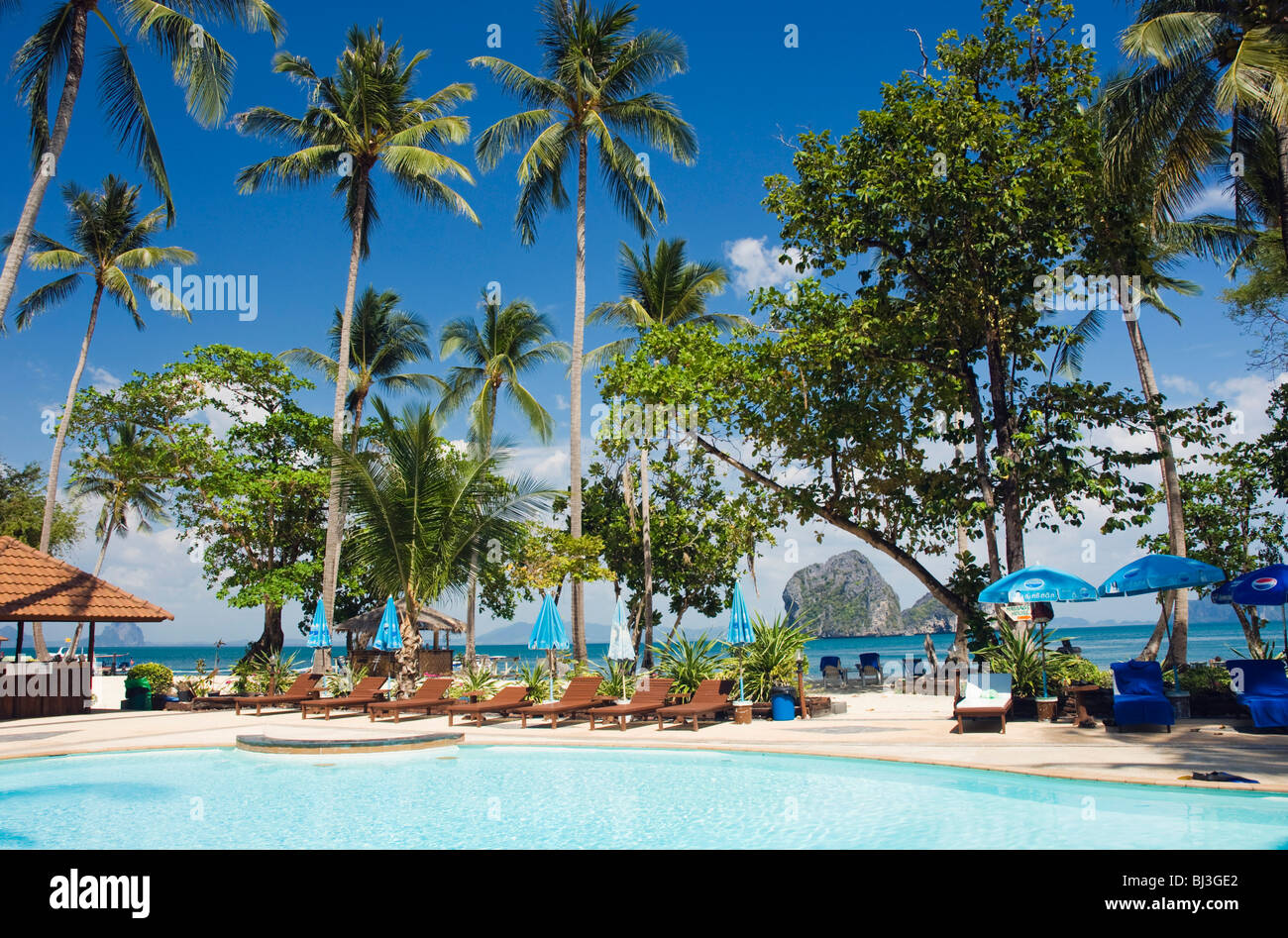 Pool unter Palmen Bäume, Koh Ngai Resort, Ko Hai oder Koh Ngai Insel, Trang, Thailand, Asien Stockfoto