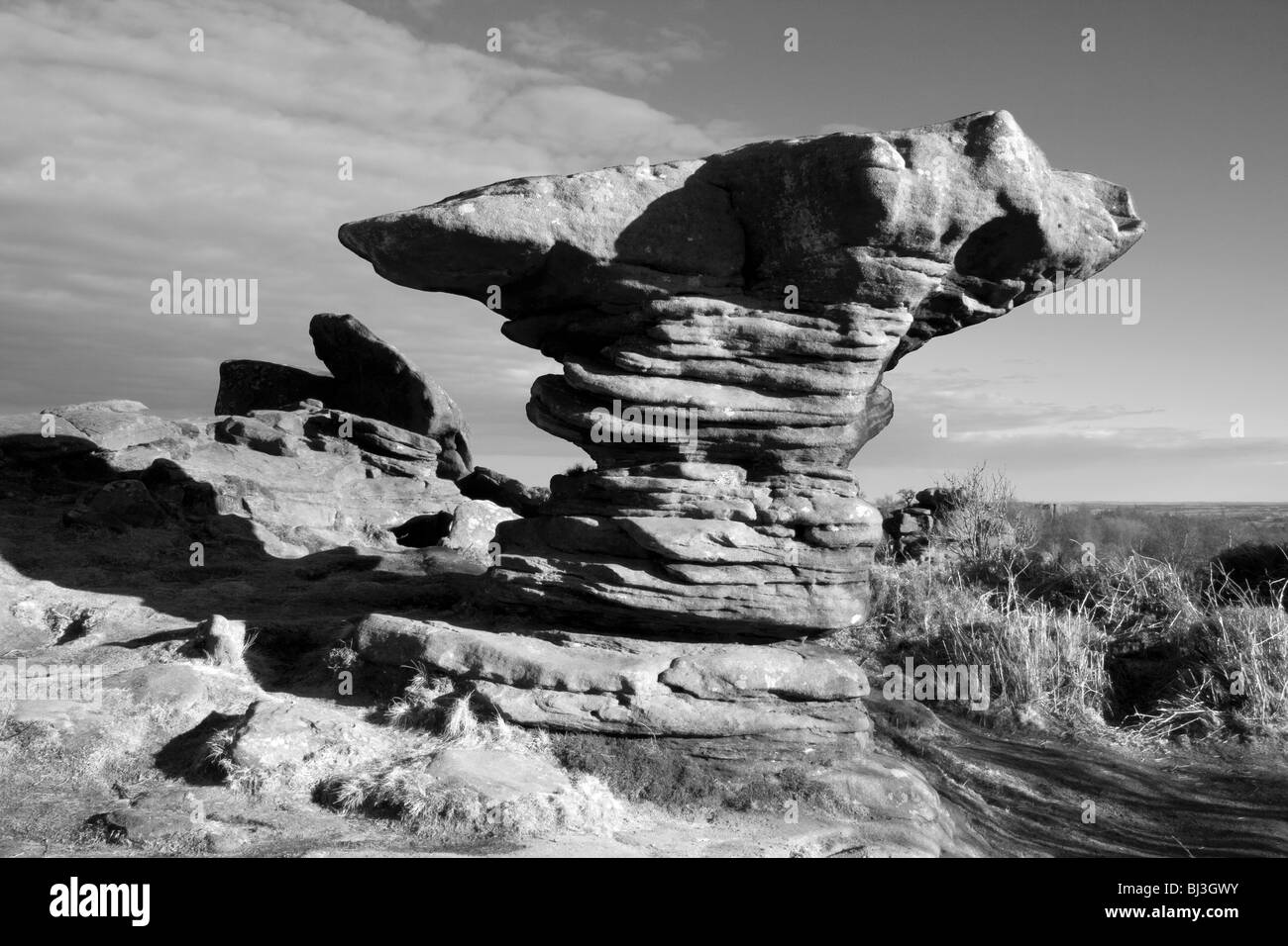 Die Elemente haben seltsame Formationen in der Mühlstein Körnung bei Brimham Rocks in Nidderdale, North Yorkshire geschnitzt. Stockfoto