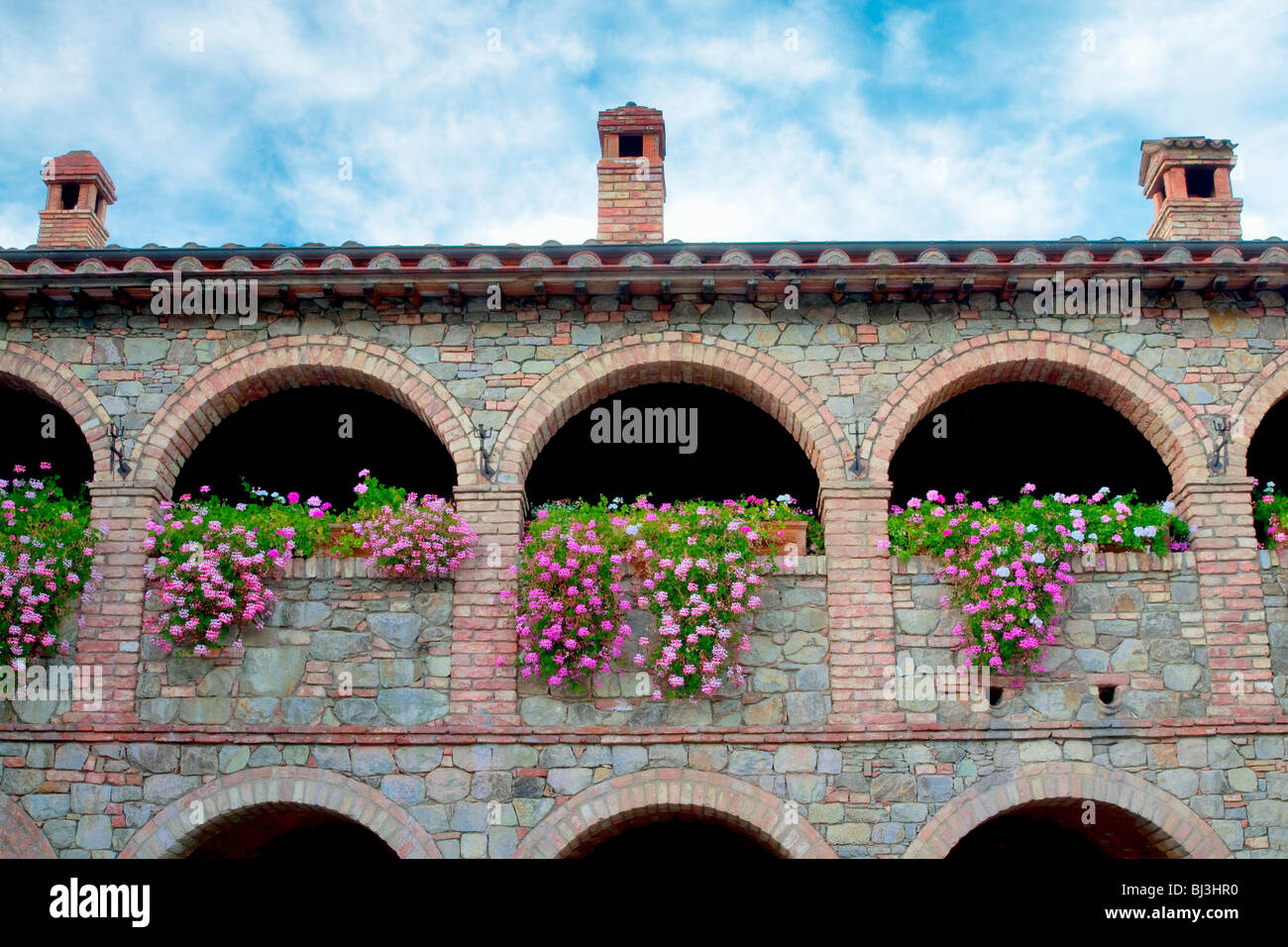 Begonie Blumen auf der Burgmauer. Castello di Amorosa. Napa Valley, Kalifornien. Eigenschaft relased Stockfoto