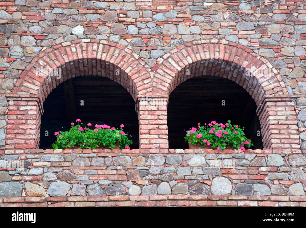 Begonie Blumen auf der Burgmauer. Castello di Amorosa. Napa Valley, Kalifornien. Eigenschaft relased Stockfoto