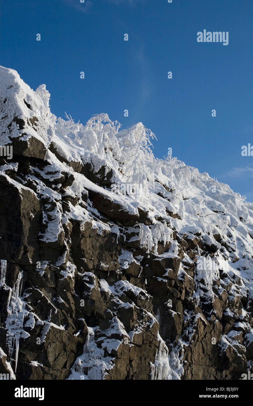 Schneebedeckten Felsen, Winter, Kanada Stockfoto
