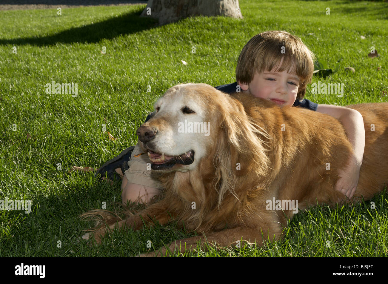 Junge und Hund ruht in der Wiese Stockfoto