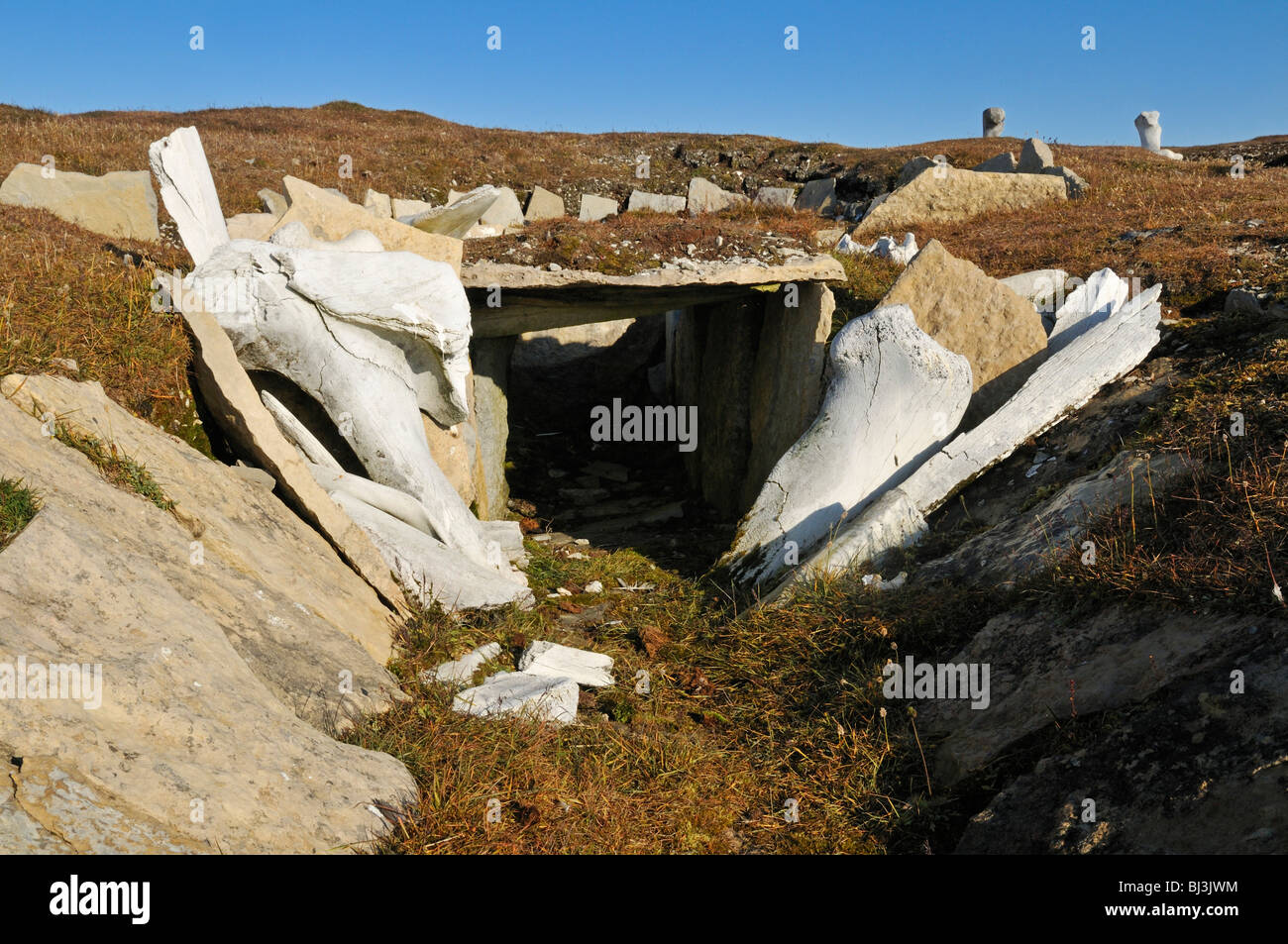 Inuit Traditionshaus aus der Thule-Kultur gemacht der Wal Knochen, Resolute Bay, Cornwallis Island, Nordwest-Passage, Nunavu Stockfoto