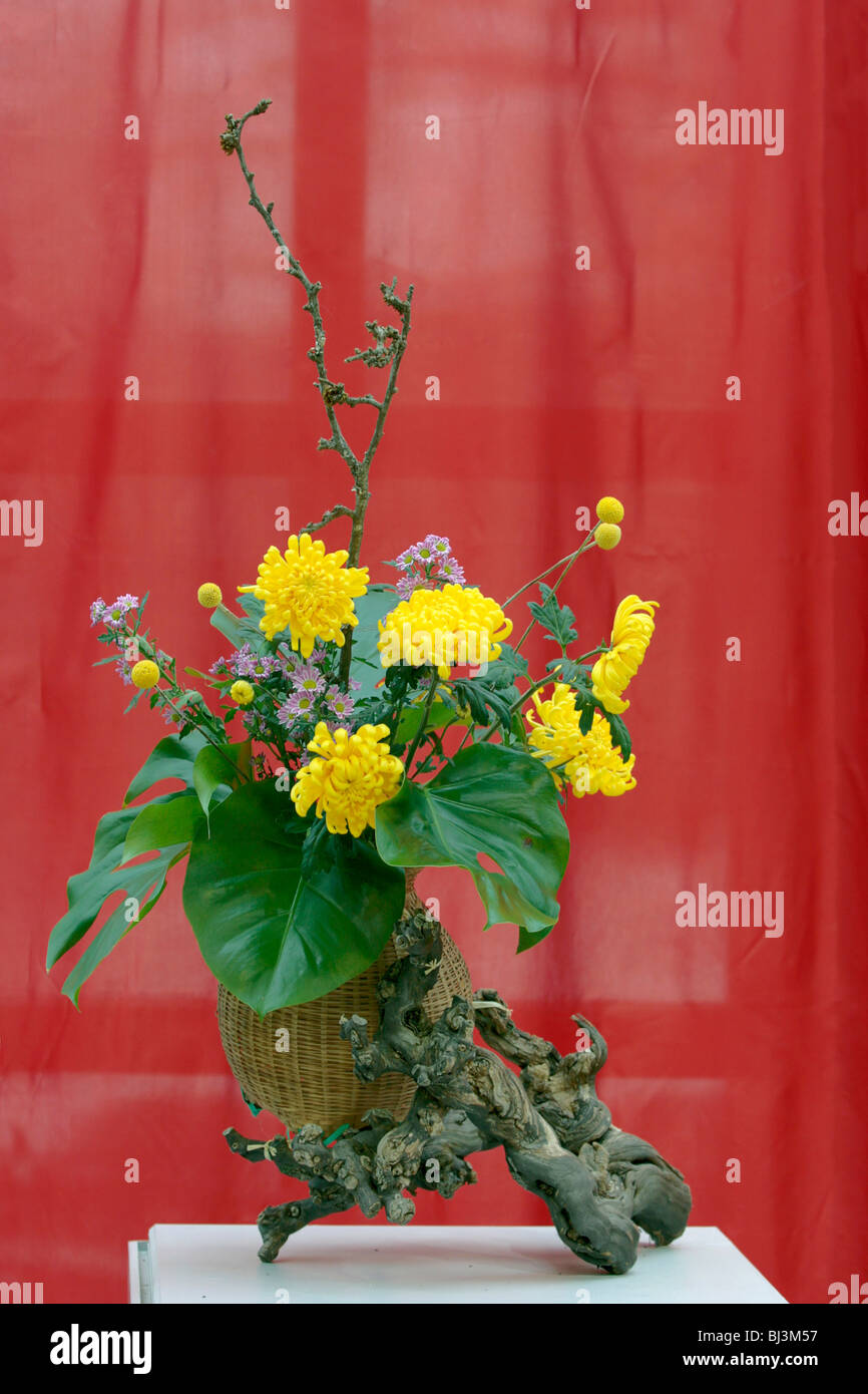 Traditionelle Chinesische Blumen Arrangement Stockfotografie Alamy