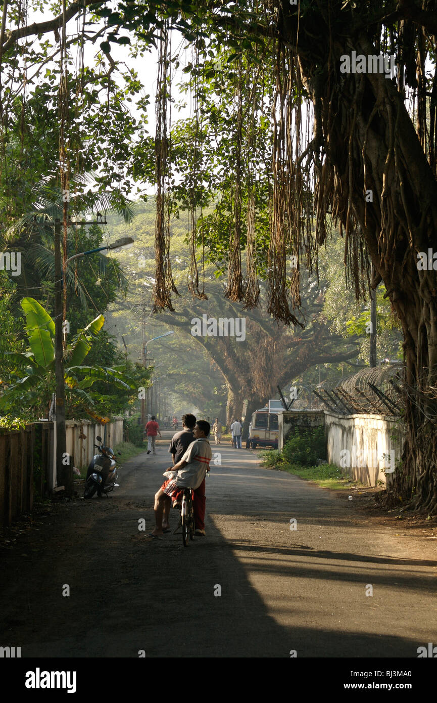 Pendler passieren unter einem Banyanbaum auf einem Fort Cochin backstreet Stockfoto