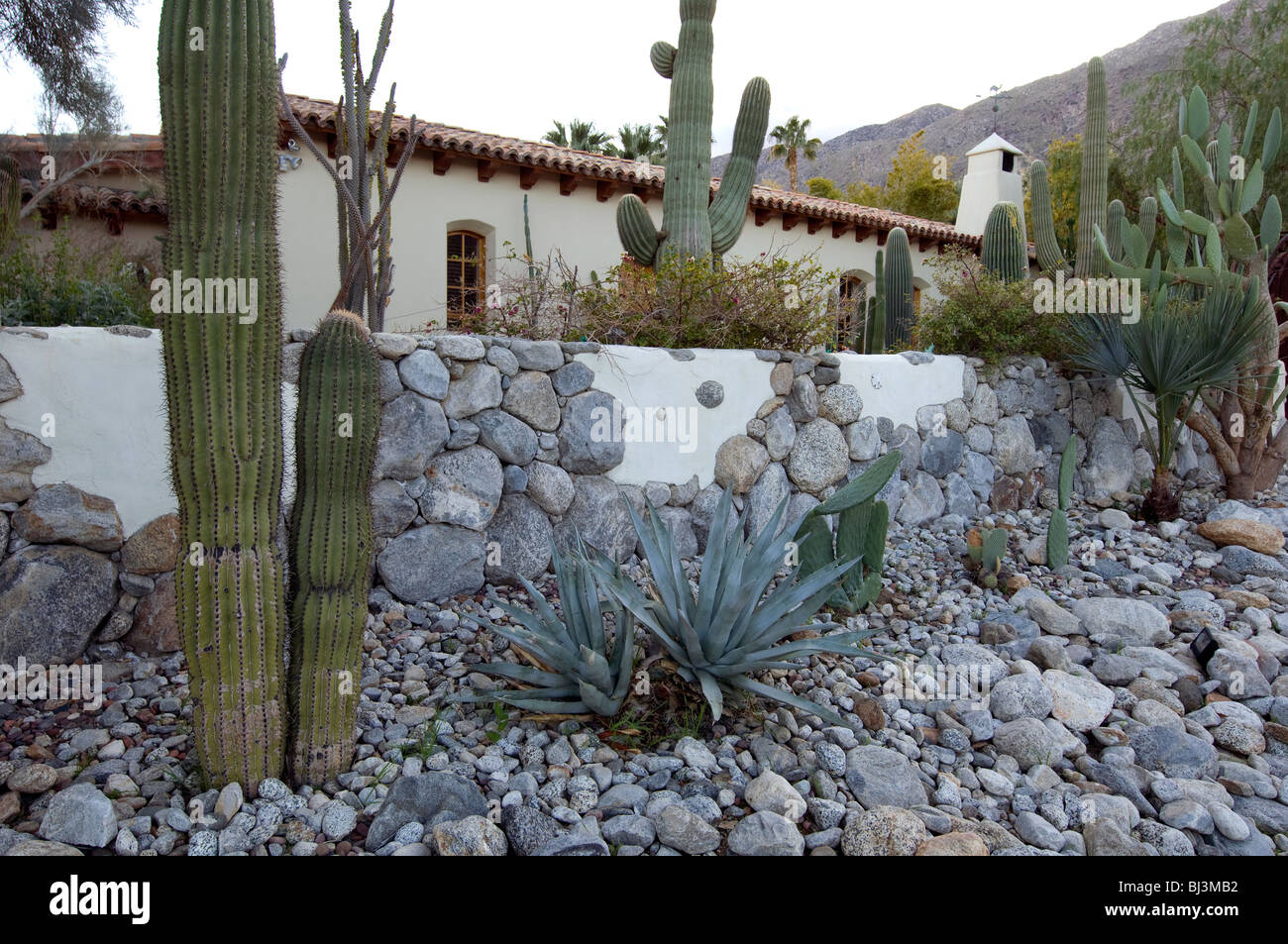 Integriert, Landschaftsbau in Wüste Haus in Palm Springs, Kalifornien Stockfoto