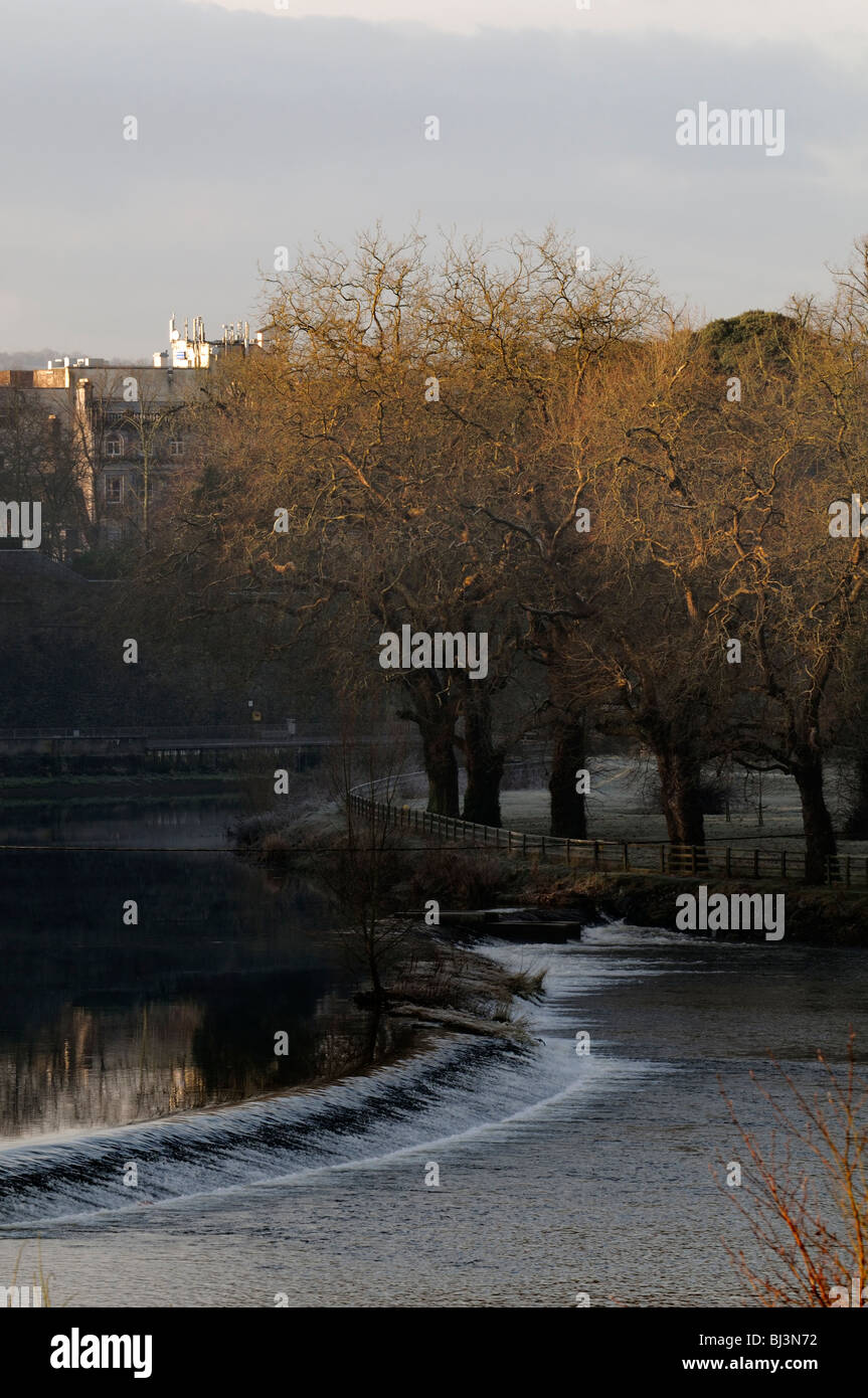 Wehr und Ulme Bäume winter Fluss Nore Kilkenny City Irland Stockfoto