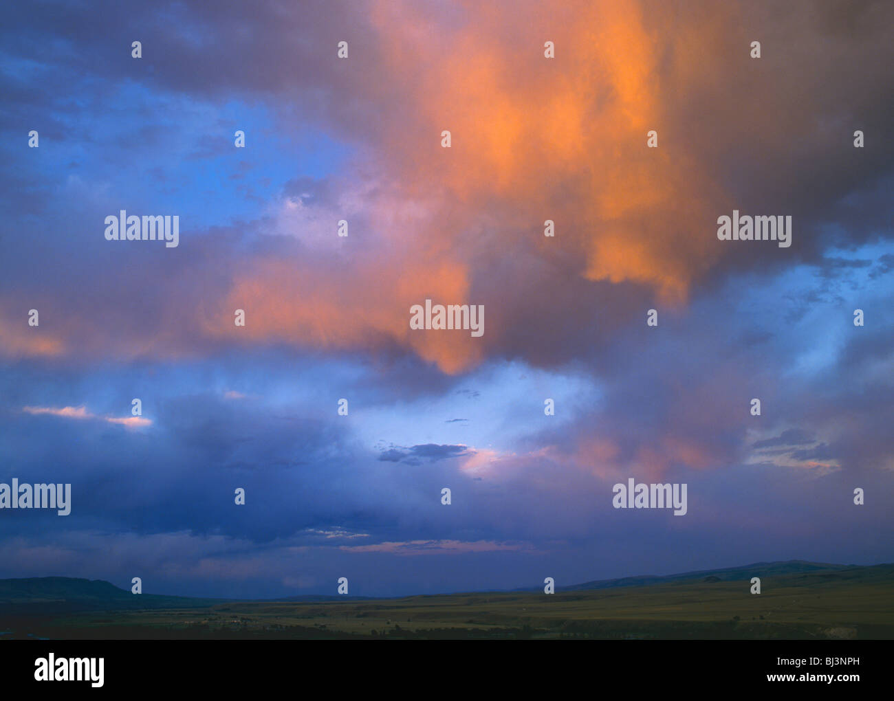 Cumulus-Wolken beleuchtet durch glühende Abendlicht, Gallatin Valley, Montana, USA Stockfoto