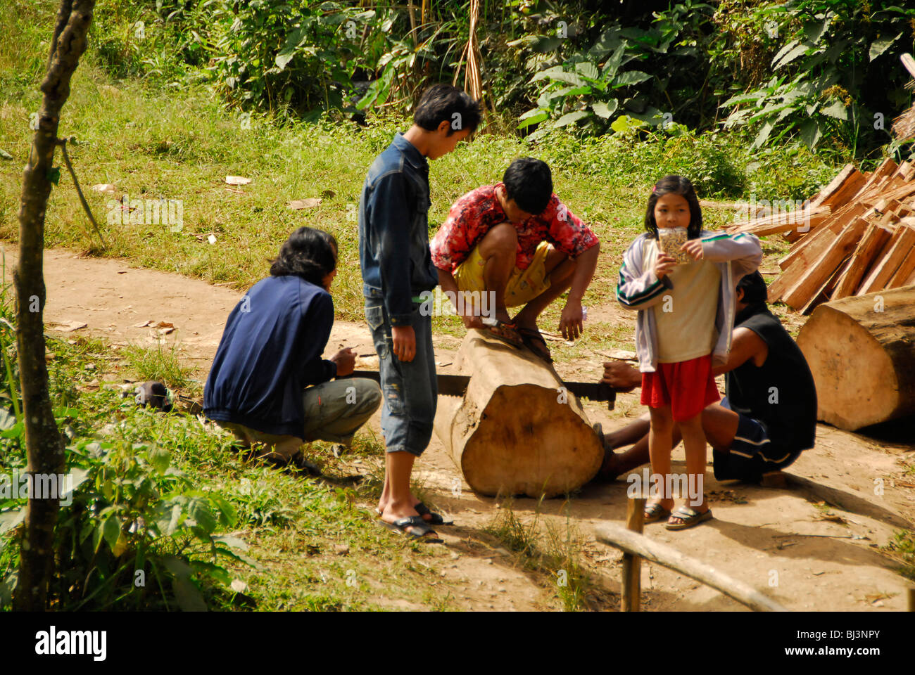 Karen Männer Sägen einen Baumstamm, Umpium Flüchtlingslager (thai-burmesischen Grenze), südlich von Mae Sot, Provinz Tak, Nord-thailand Stockfoto