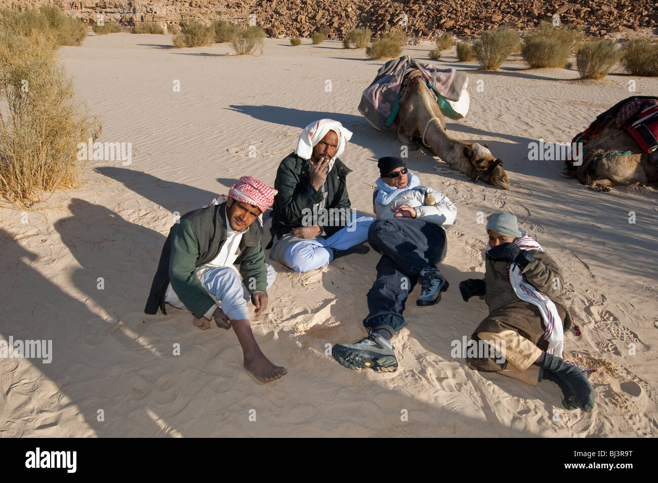 Nomad Beduinen des Sinai Halbinsel in Ägypten auf einem Kamel-Safari in Jebel Gunah Bereich Stockfoto